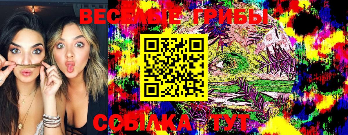 Галлюциногенные грибы Cubensis Новокубанск